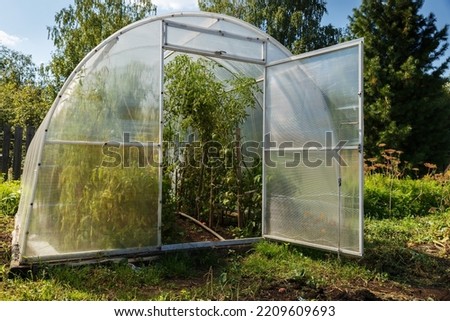 polycarbonate greenhouse in the garden. polycarbonate greenhouses in the garden. Open door to the greenhouse.