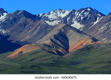 POLYCHROME PASS
