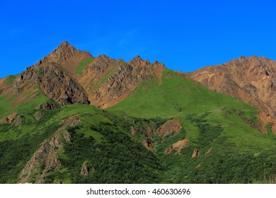 POLYCHROME PASS
