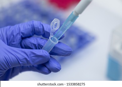 Polymerase Chain Reaction (PCR) and Agarose gel electrophoresis is a method of gel electrophoresis used in biochemistry, molecular biology, genetics, and clinical chemistry in lab.
