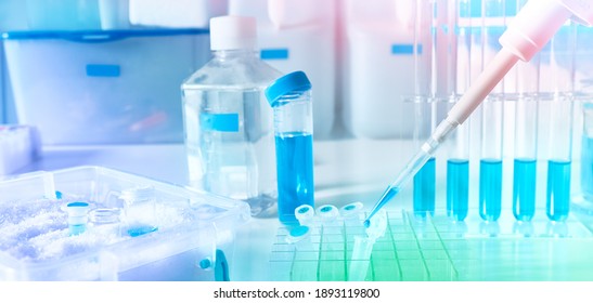 Polymerase Chain Reaction PCR Used In Medical Testing, Biochemistry, Molecular Biology, Genetics, And Clinical Chemistry In Lab. Molecular Biology Methods In Pharma And Academic Research