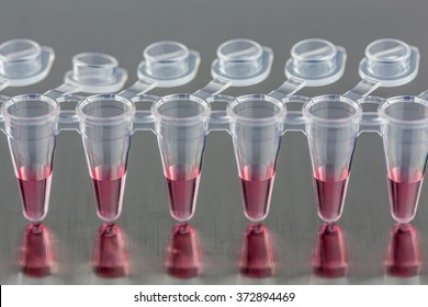 Polymerase Chain Reaction Tubes