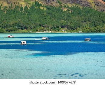 Polynesia Pearl Farms, Mangareva, Gambier Islands.