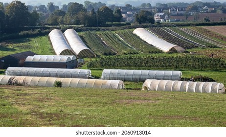 Polytunnels Used For Cultivation On A Devon Farm UK