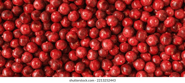 Pomegranate Garnet Fruit Background Pattern, Banner Size