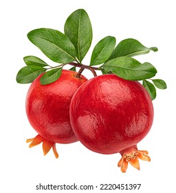 Pomegranate on tree branch with leaves isolated on white background - Shutterstock ID 2220451397
