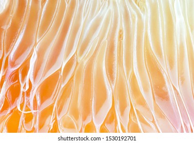 Pomelo Fruit Macro Photography.  Healthy Food For Slow Down Aging.