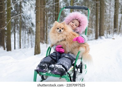 Pomeranian Sledding With Kid. Dog Riding With Child On Sled. Activities, Wintertime, Pastime, Leisure, Childhood With Pet Outdoor. Girl And Spitz Playing On Snow, Walking In Winter Park