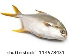 Pomfret