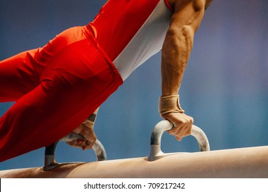 Pomme Horse Male Gymnast To Competition In Artistic Gymnastics