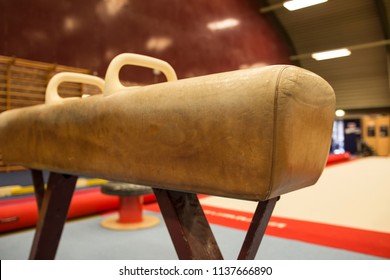 Pommel Horse Gymnastic Center Stock Photo 1137666890 | Shutterstock