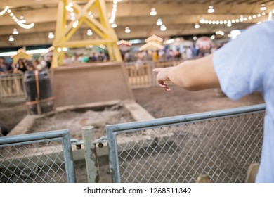 Pomona, CA: September 9, 2018:  Petting Zoo Area Of The LA County Fair.  The LA County Fair Is One Of The Largest County Fairs In America.  