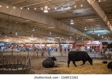 Pomona, CA: September 9, 2018:  Petting Zoo Area Of The LA County Fair.  The LA County Fair Is One Of The Largest County Fairs In America.  