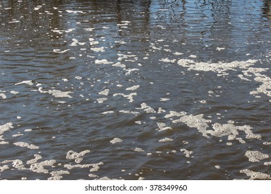 the pond