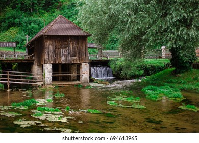 pond
