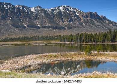 Pond Along Chief Joseph Highway