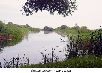 Pond between two fields
