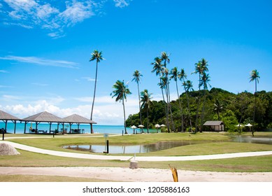 Pond In Bintan Beach