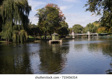 Pond In Boston Public Garden Swan Boats