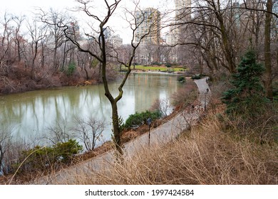 The Pond At Central Park In Winter, New York City