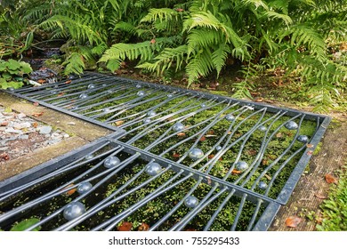 1000 Pond Covers Stock Images Photos Vectors Shutterstock