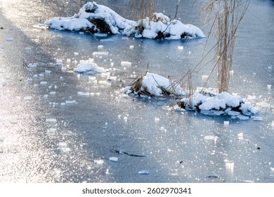 Pond covered in layer of thin ice, straws and broken bits of ice. Grass sticking up from icy pond.