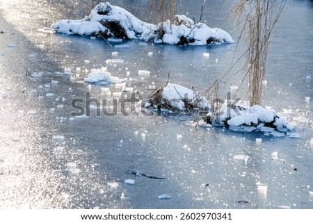 Pond covered in layer of thin ice, straws and broken bits of ice. Grass sticking up from icy pond.