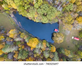 pond during fall