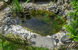 Pond With Goldfish In The Garden