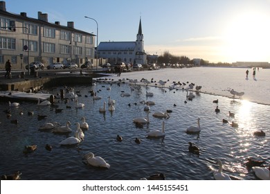 Tjörnin - The Pond  Reykjavík Iceland