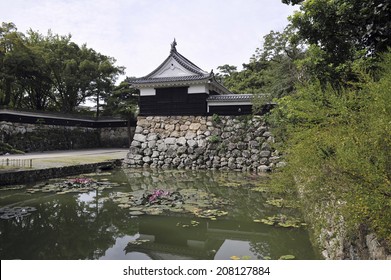 The Pond Of Kochi Castle