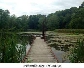 A Pond In Morristown, NJ