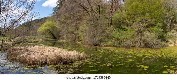 Pond At The Teufelsbrücke In The Schönbuch Nature Park