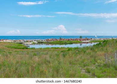 Pond Next To Lake Michigan At Northerly Island In Chicago