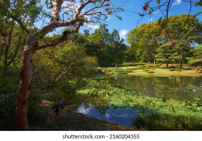 The Pond In The Ninomaru Garden Designed By Kobori Enshu At The Foot Of The Edo Castle Hill. Imperial Palace. Tokyo. Japan