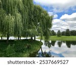 Pond in a park with a glass like surface, reflecting trees and sky. A large weeping willow tree is beside the water.