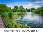 The pond at Patterson Park in Baltimore, Maryland