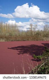 Pond With Red Algae Bloom