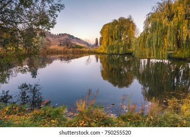 Pond with reflections of surrounding willow trees and plants in autumn at sunset