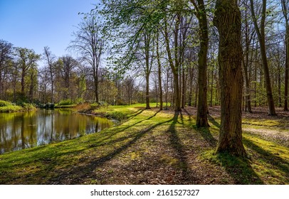 Pond in the spring park. Spring park pond landscape. Park pond in spring. Pond in park - Shutterstock ID 2161527327