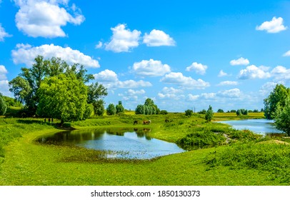 Pond In Sunny Day On Summer Nature Landscape