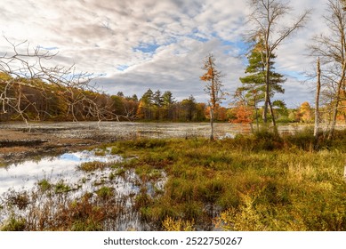 Pond surrounded by dense forest at the peak of autumn colours under partly cloudy sky at sunset - Powered by Shutterstock