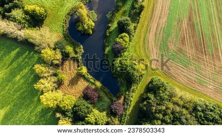 Pond surrounded by farmland. A single tree growing in the still water.
