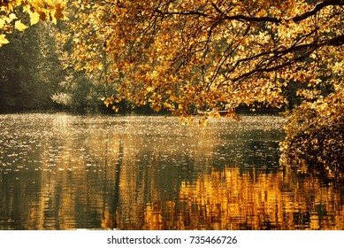 A pond in Tiergarten Berlin under the orange glow of an autumn sun. 