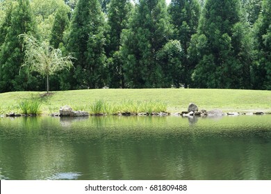 Pond with Trees