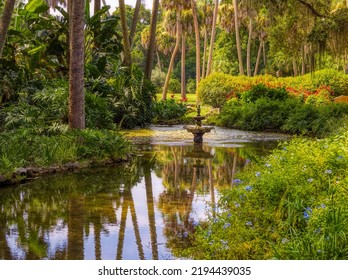 Pond In The Washington Oaks Historic District Of Washington Oaks Park In Palm Coast Florida  USA