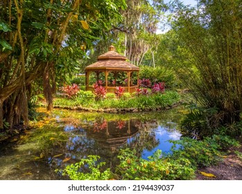 Pond In The Washington Oaks Historic District Of Washington Oaks Gardens State Park In Palm Coast Florida  USA