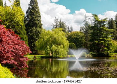 Pond And Water Feature In A Beautiful Colourful Zen Garden