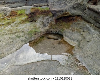 Pond Of Water In A Rocky Beach. Rocky Wet Terrain With Moldy Rocks. Tropical Climate Weathering The Rocks.