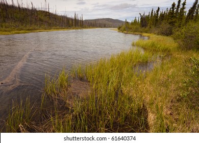 Pond And Wetland In Boreal Forest